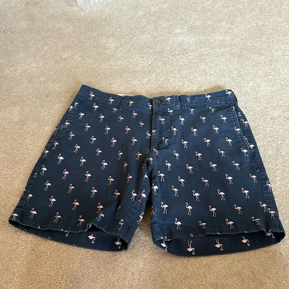 J. Crew Shorts